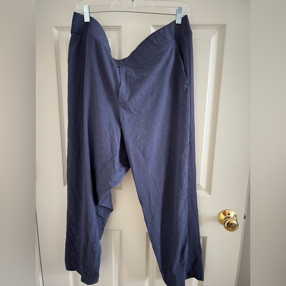 Athleta Brooklyn Ankle Pant Textured Cheetah Print Blue size 18